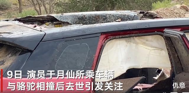 仇意|21年前，那个和于月仙同样因车祸猝然辞世的中戏女明星