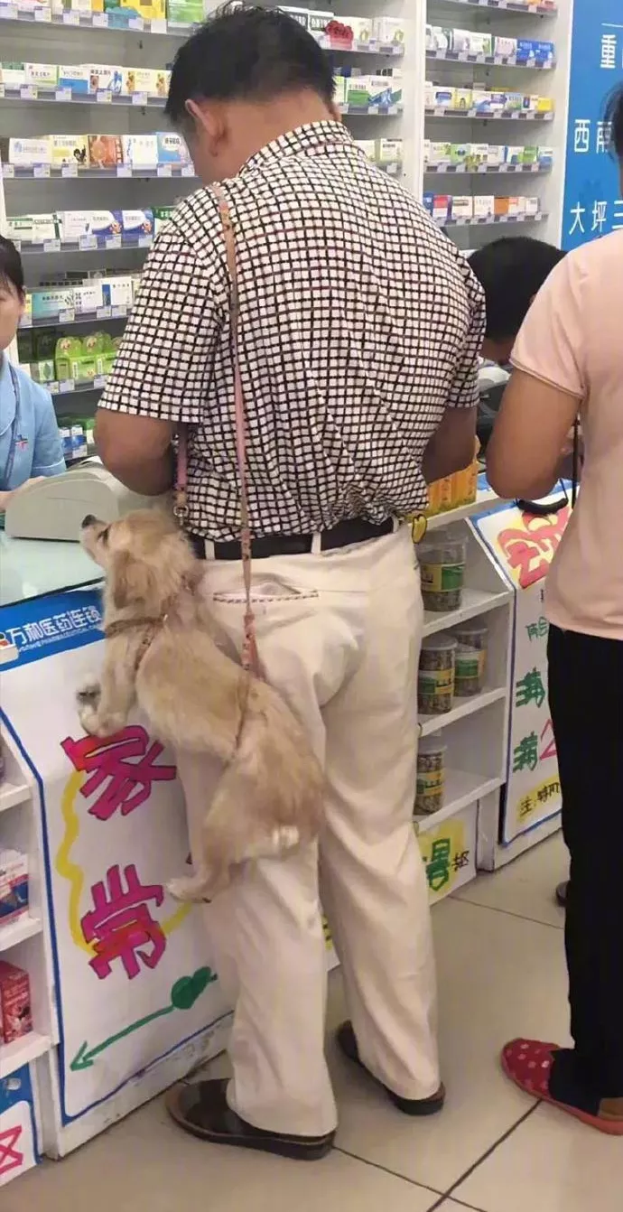  今日全宇宙最涨姿势的十张图