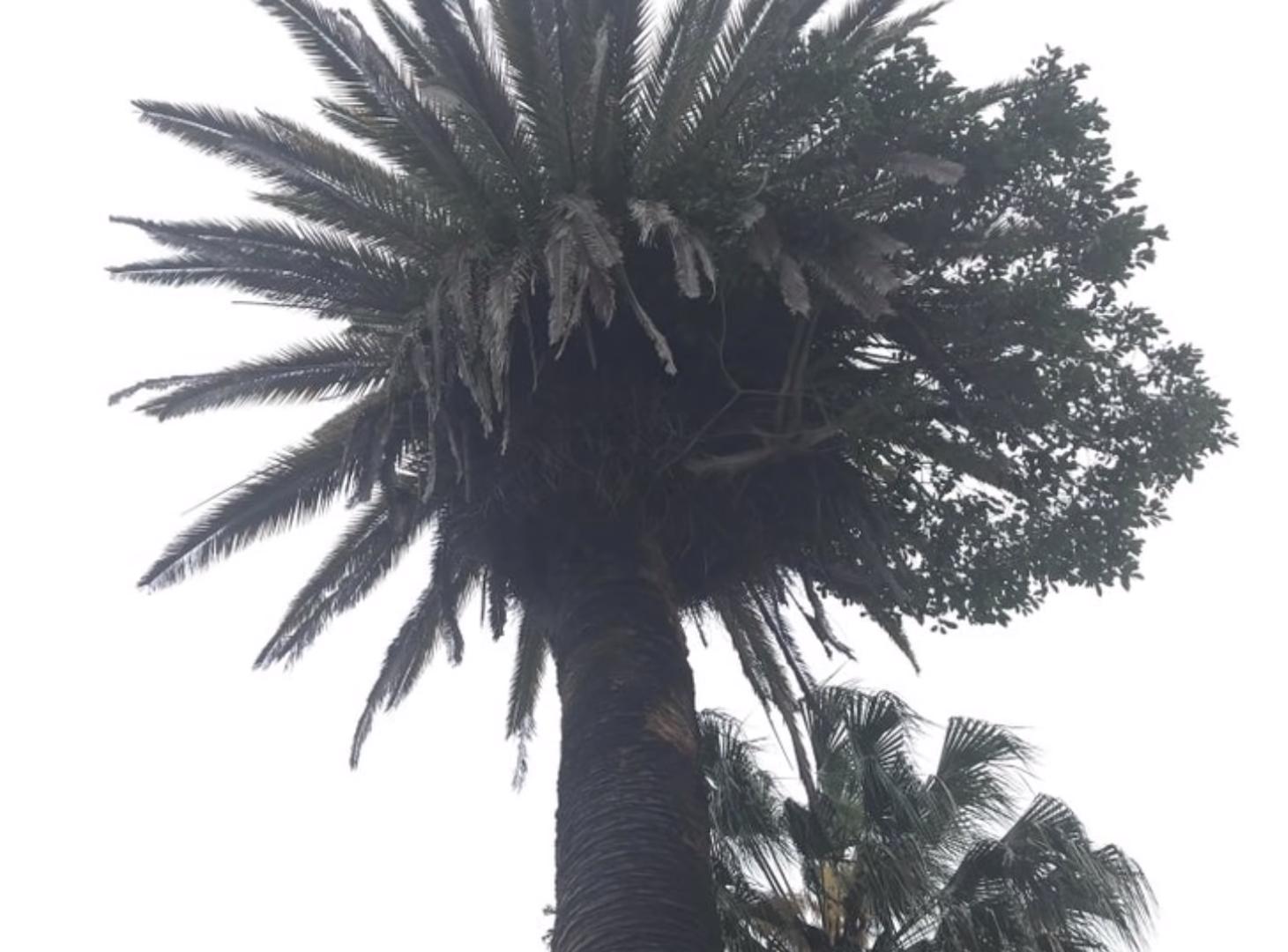 海之归墟|27张罕见的照片，展现了常见事物“不常见”的一面