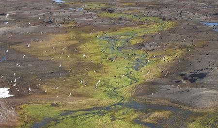 失控的小青蛙|北极出现很多“深坑”，还会释放古代气体，值得人们深思