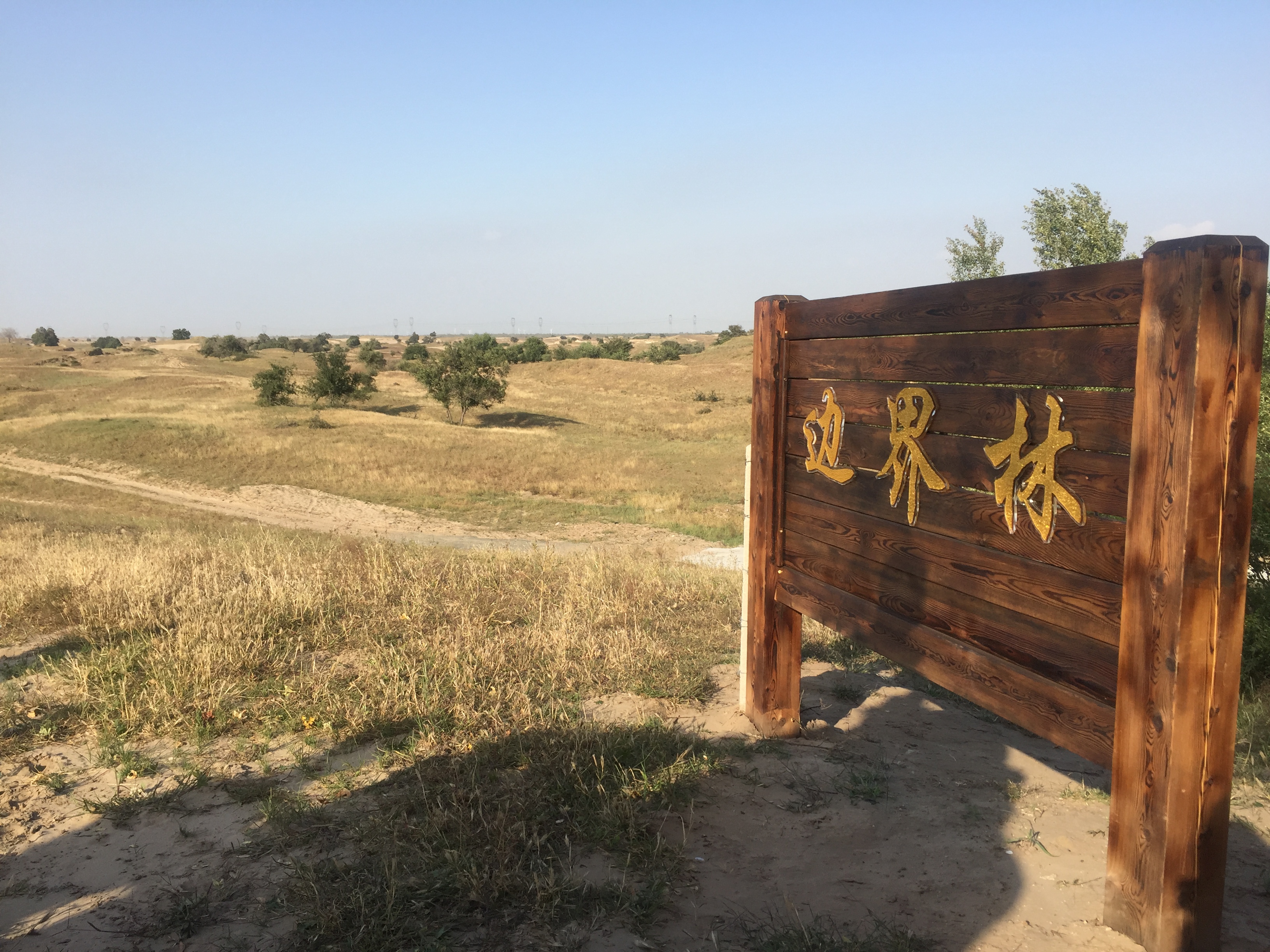 大话三农八卦 农村荒地整治，荒地要收回？一类土地归集体，两大问题农民要注意