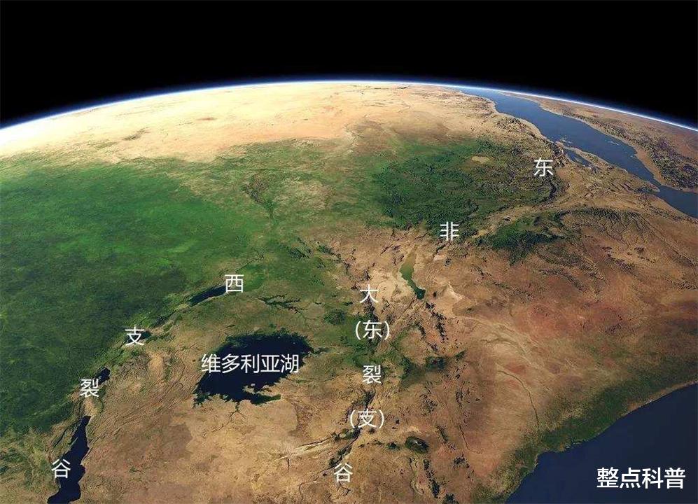 太空 人都是女性生的，在人类出现前，世界上第一个女性是从哪里来的？