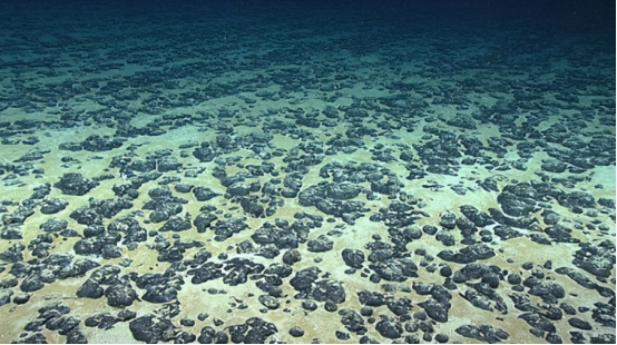 科学家 5500米深海出现巨大爪痕，已存在50多年，是谁遗留的？