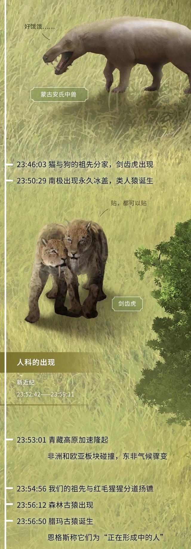  如果把地球历史压缩成24小时会怎么样？（硬核版）