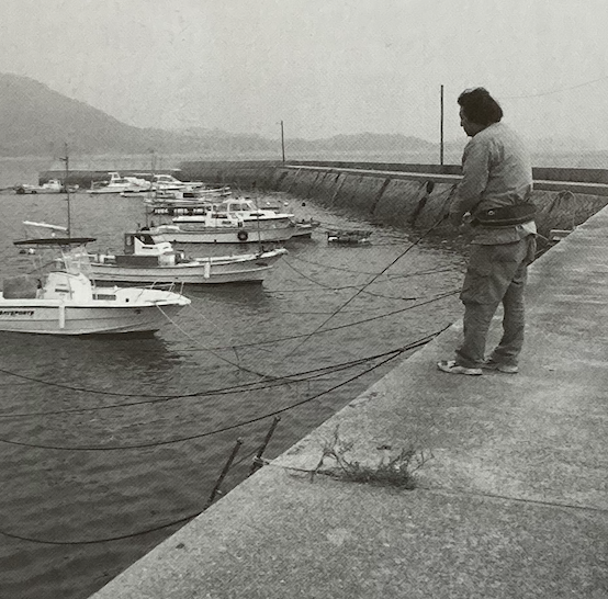 日本|[路亚钓] 最重要钓法之竹荚鱼钓法，日本专业钓鱼书籍