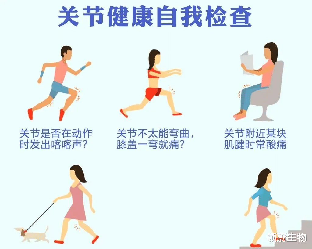 火龙果|你知道吗？全身关节这么多，为什么偏偏膝关节最容易发炎？
