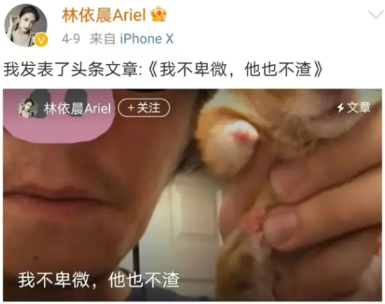 林依晨|打排卵针生吃青蛙，嫁入豪门求子七年的林依晨，这次终于怀孕了