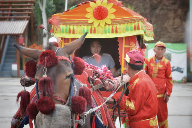 染色体 为什么农村有的老人说骡子不分公母？不仅有公母，还会生育