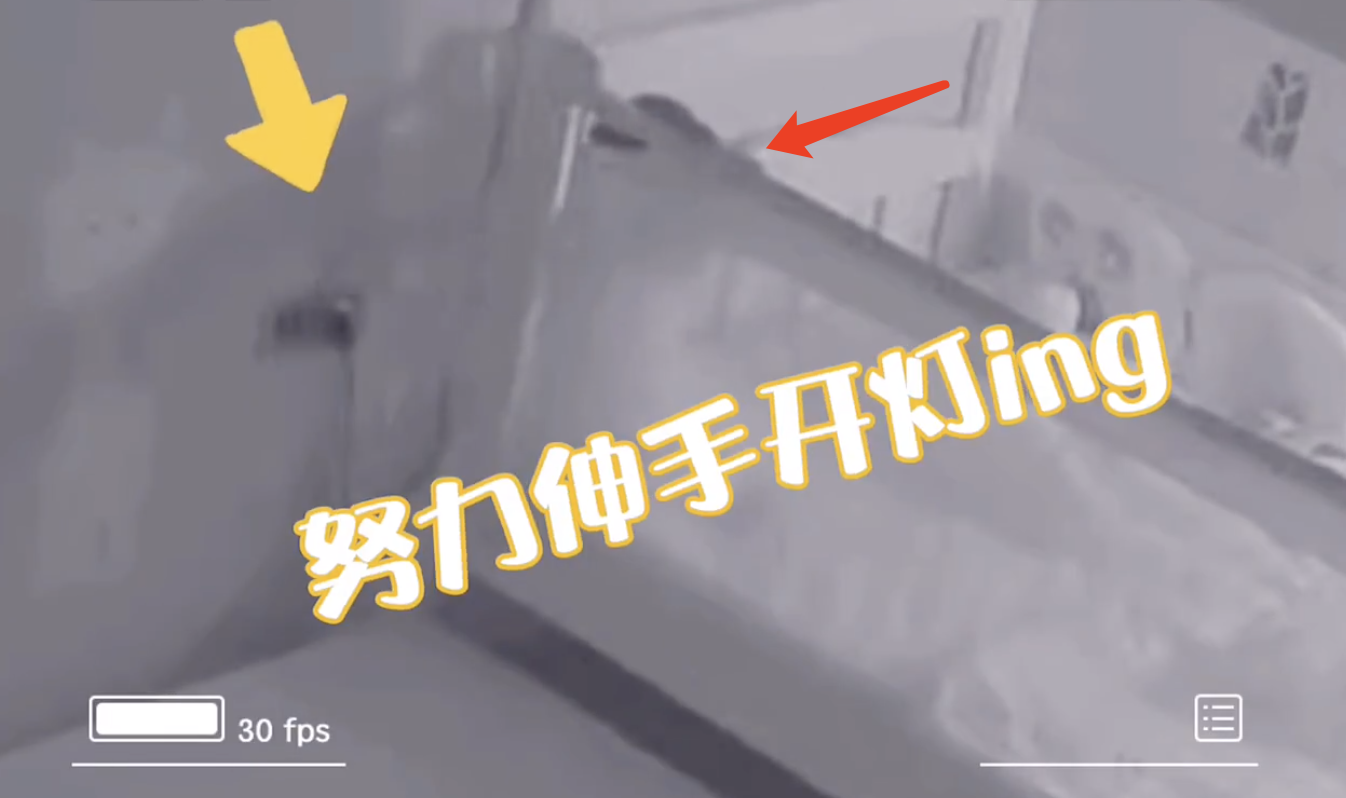 女心理师|安以轩2岁儿子再玩“越狱”,翻出床围还将门反锁,沉着应对超淡定