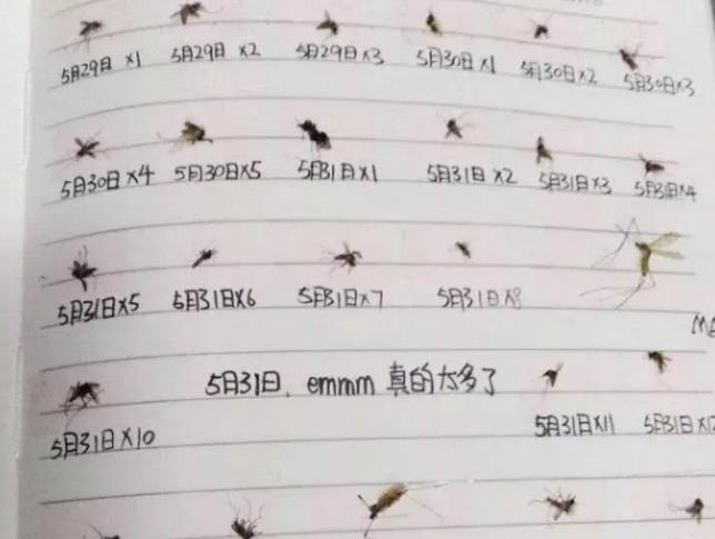 我是妈妈|夏季宝宝招蚊子,花露水、蚊香存在缺陷,驱蚊止痒小妙招快收藏