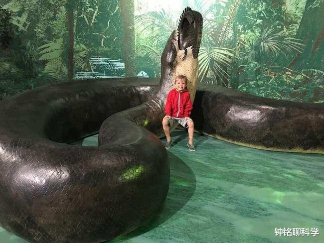 巨龟 世界上体型最大的蛇有多大？这种蛇重约1吨，以巨鳄、巨龟为食