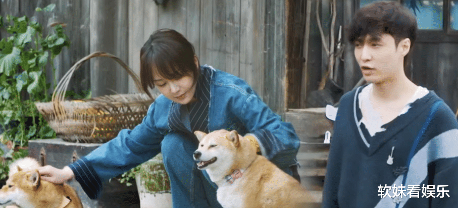 杨紫|杨紫张艺兴遭实锤？工作室辟谣辟了个寂寞！