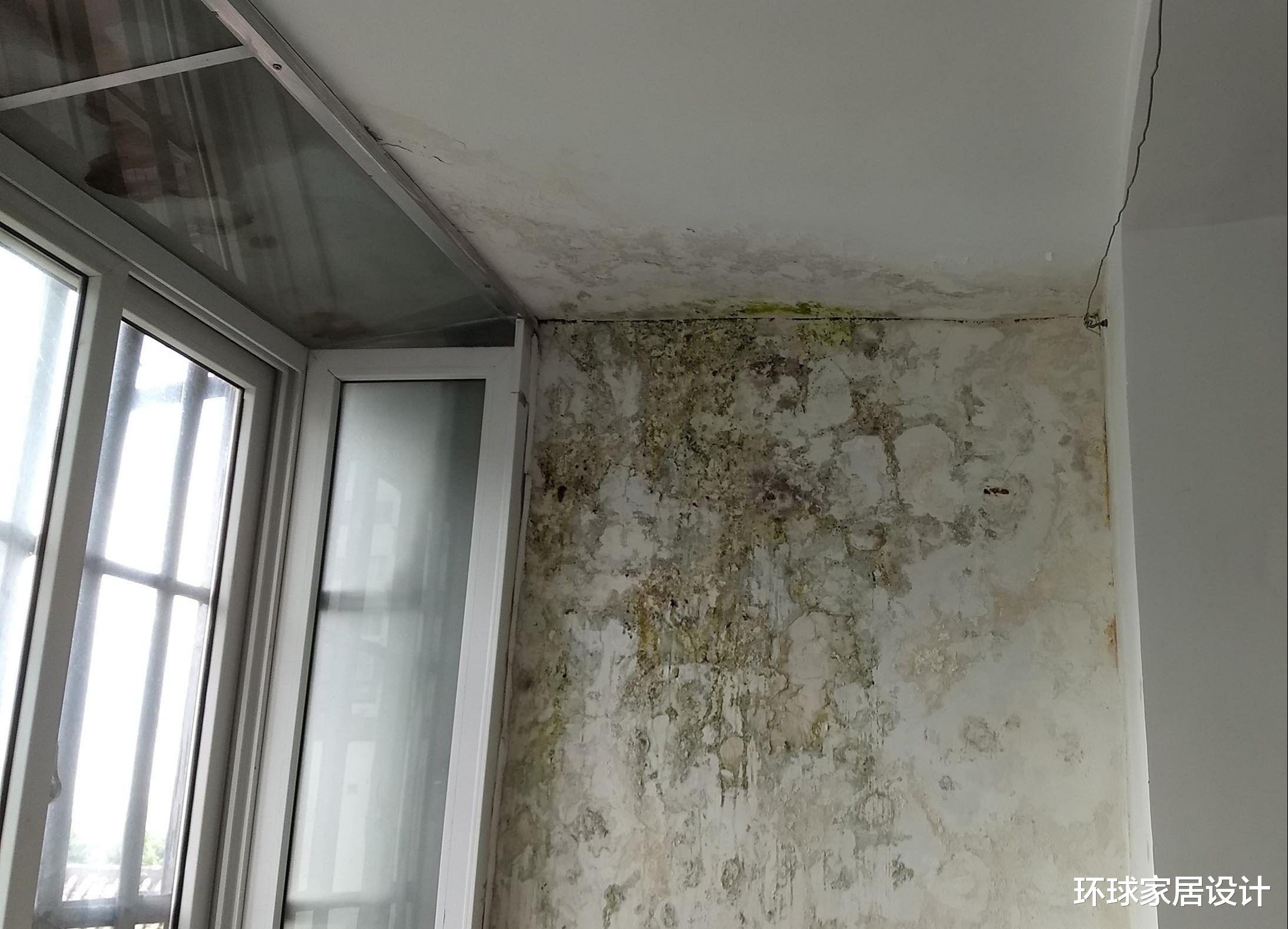 顶楼业主长期不装修，屋顶渗水殃及楼下，该承担责任吗？为什么？