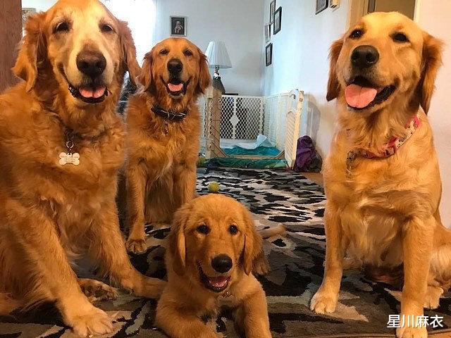 星川麻衣|8月18日起好运翻涨，一直旺到年底的生肖，事业步步高升，日子乐开怀