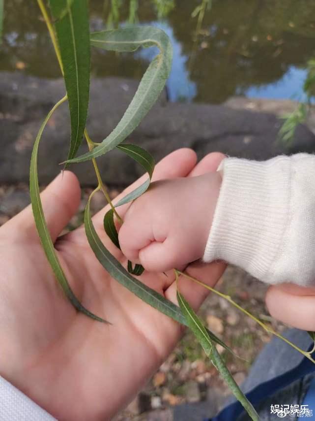 谢娜|谢娜仨女儿近照曝光，双胞胎像爸爸张杰，姐妹俩发量引热议