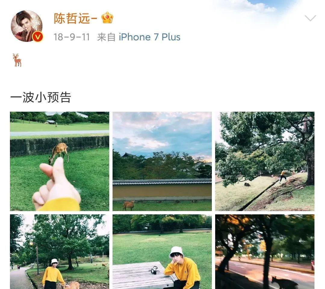 陈哲远|《暗格里的秘密》男女主演炒cp，真嫂子点赞恋情传闻，当事人急了