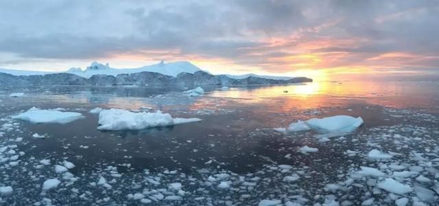 科学家警告:北极植物高度大幅增加,变得生机盎然!或会引发灾难