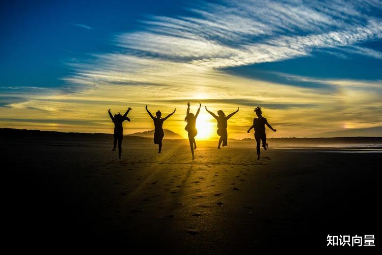 知识向量 投资价值意义的总结和思考