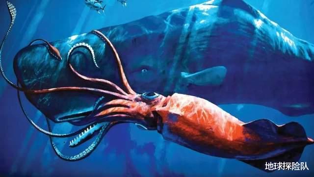 抹香鲸|深不见底的海洋，底部海域都存在什么奇异生物？它们长相很怪异