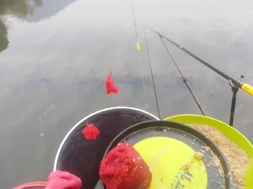 饵料|使用拉饵钓鱼，记住这几种常用的调漂方法