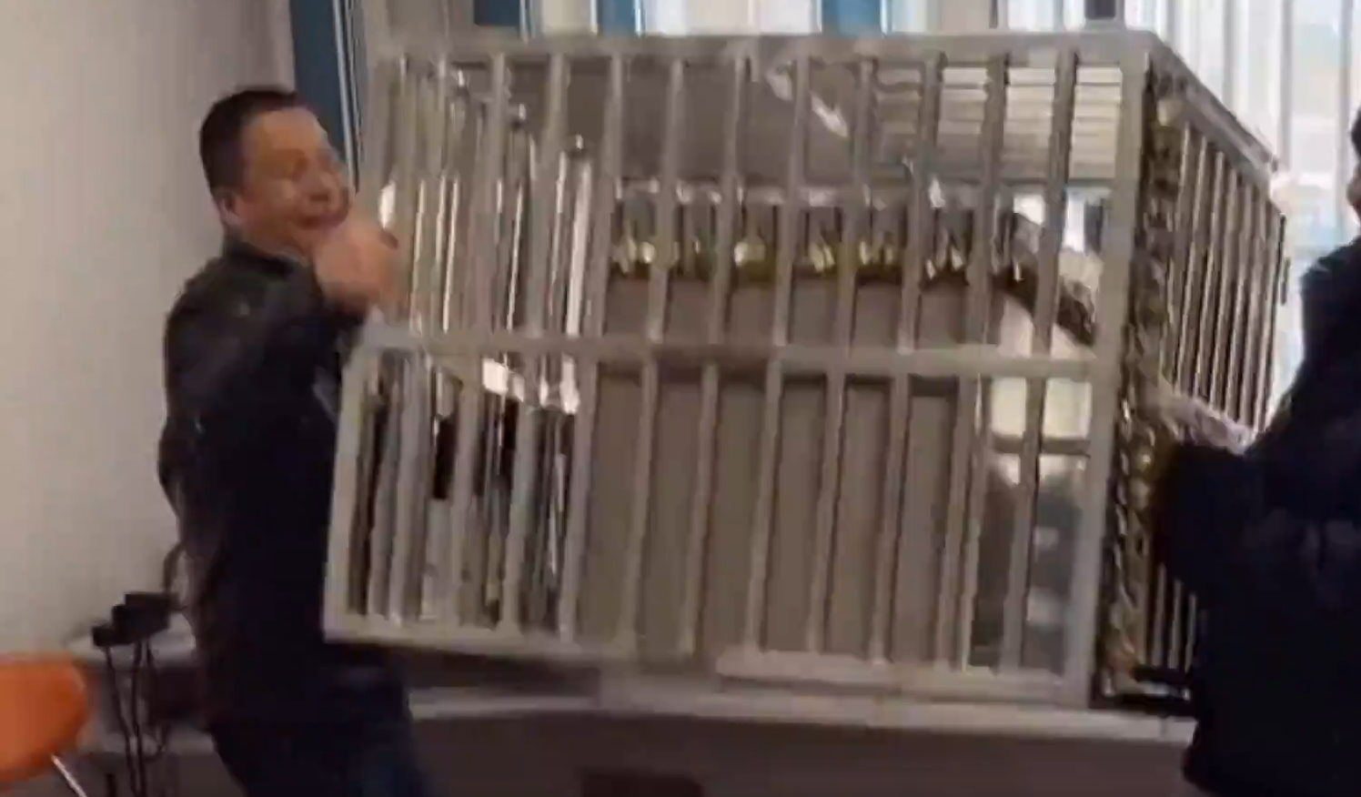 短视频|全网粉丝超过1亿！“网瘾少年”疯狂小杨哥，爆火的背后有何玄机