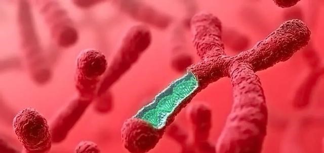 科学家 为什么人类的记忆无法遗传？科学家：人类有90%的DNA记忆被关闭了