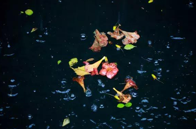 农民说农 “清明时节雨纷纷”,清明当天下雨好不好?看看农村谚语就知道