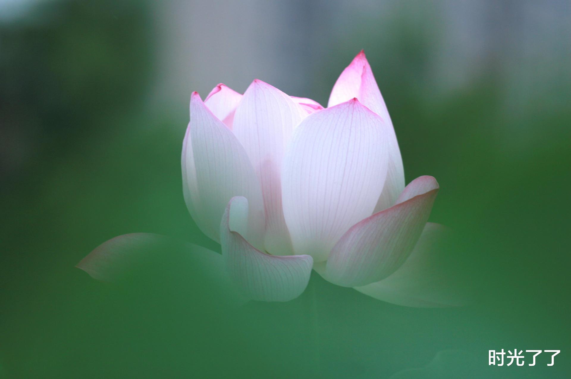 时光了了|做人做事，不需要人人理解，问心无愧就好