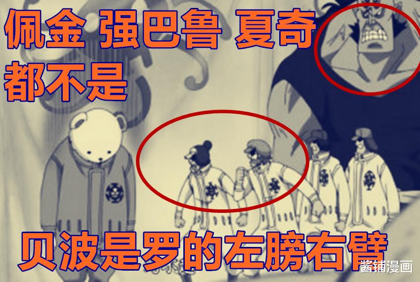 索隆|海贼王1031话，尾田认可希留是蒂奇的四皇副手，King用尖嘴压制索隆