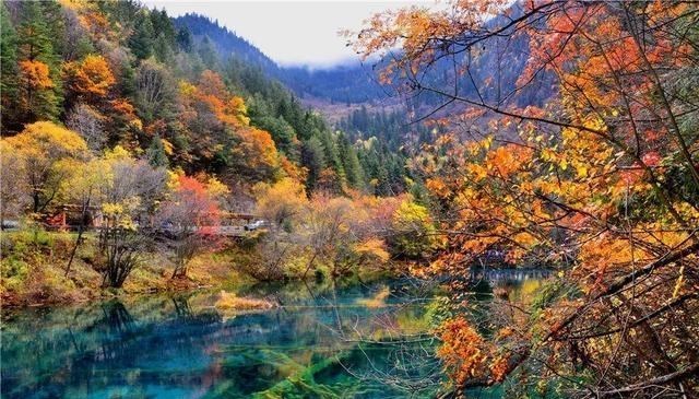 九寨沟 一处位于黄龙景区和九寨沟景区后山部分的美丽景区，原始又安详