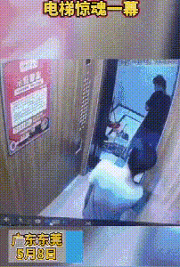 二两橘子 广东东莞，两位工人在某商场的电梯里面运送玻璃，玻璃瞬间被夹碎
