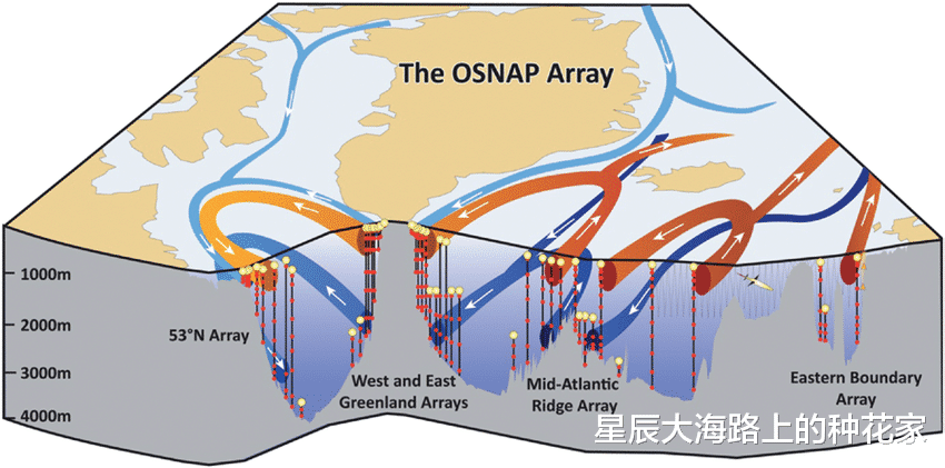 冰河期的预警来了?寒流速冻全国!科学家提醒:地球仍处在大冰期