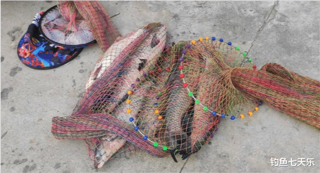 无锡|鱼塘老板被钓哭！无锡钓友晒“战果”，花150大洋狂拉11条大青鱼