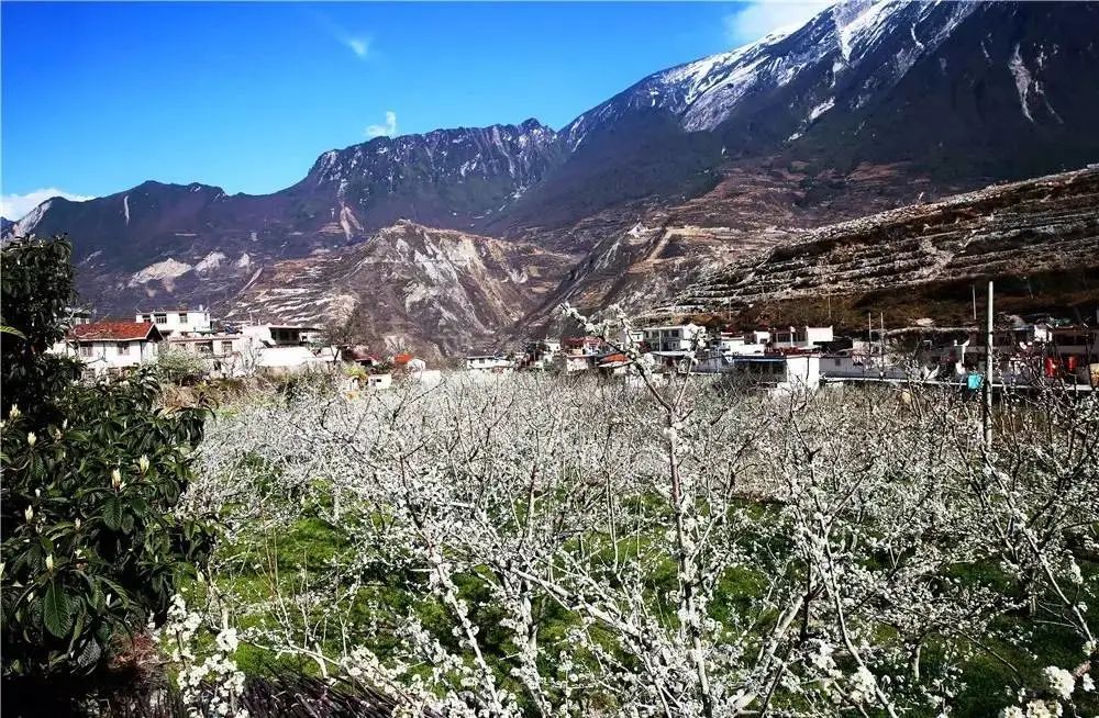 成都快报 绿色成为4084平方公里最亮的底色，汶川保生态也是保民生！