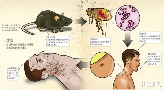费米悖论:人类注定会灭绝?4种灭绝方式,你觉得哪一种可能性最大?