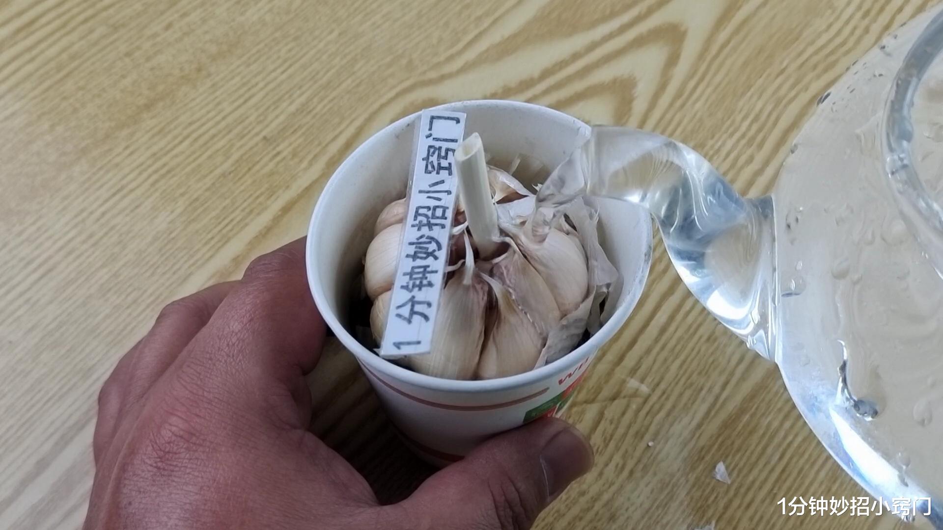 一次性纸杯用完不要扔，放家里还有这个妙用，省钱又实用