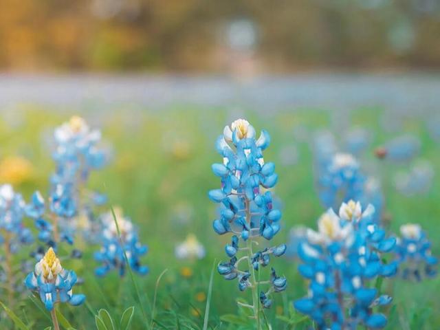 星座师安达|看似高冷，实则动心很快的星座，只是“伪装”得很深