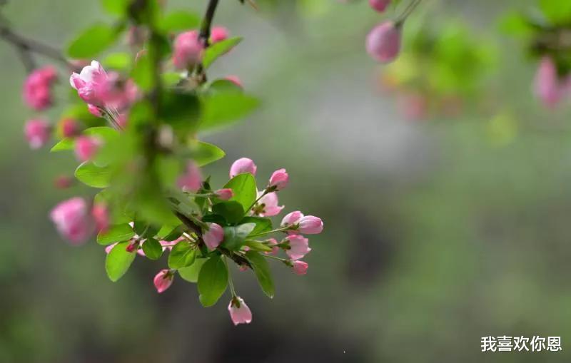 芜湖|从红颜知己到红颜祸水，只因为没有控制好感情，也许做忘年交更好