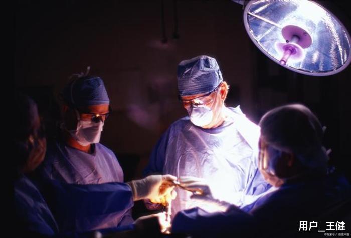 运动|简述膝关节的基本构成、辅助结构和运动方式