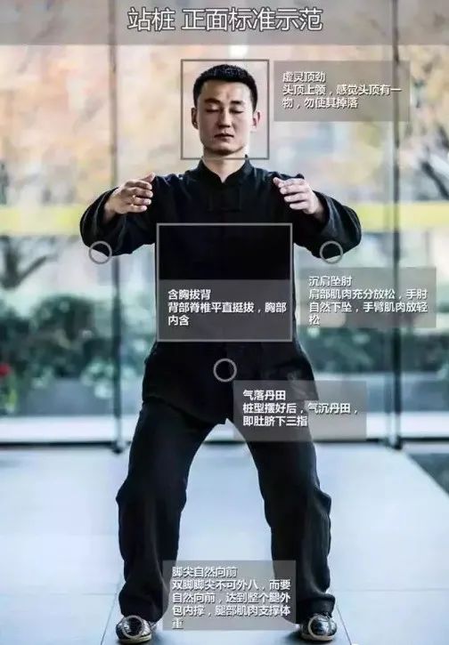 健脾|站一站，竟是最好锻炼法！每天5分钟，28天收获8大神奇变化！