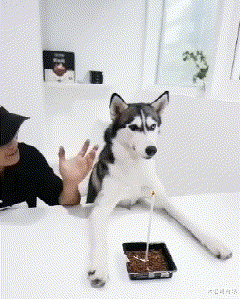 |“我被鱼钩穿了，还有得救吗？”现在钓鱼的饲料成本真不小啊！哈哈哈