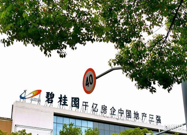 杨惠妍 中国女首富：坐拥财富2150亿，身价相当2个王健林，累计捐款60亿