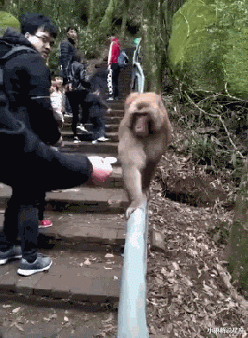 小琳解说星座|“这是我的新兵器丈八蛇矛，你们的呢？”哈哈哈哈这兵器有点冷啊