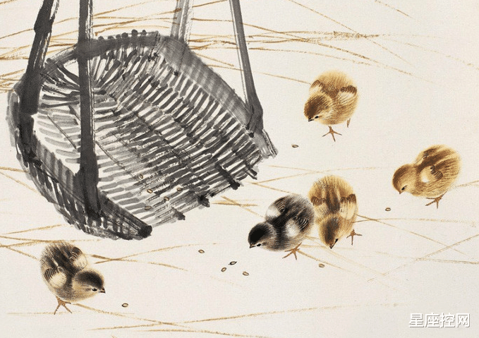 属鸡|生肖鸡出生在几月份，犹如金鸡，屹立职场不倒，越老越有钱有福