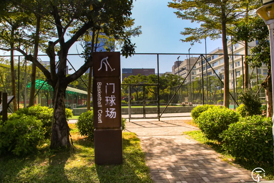 楼市|误入南山“少林村”，月入过万只能勉强合租？