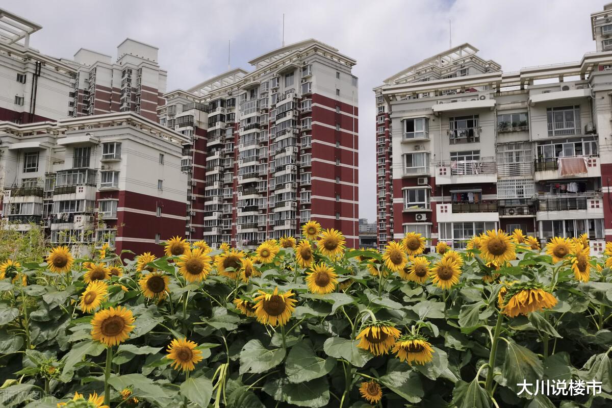 购房置业|楼市迎来“拐点”，房企“悄然降价”，要不要买房清楚了