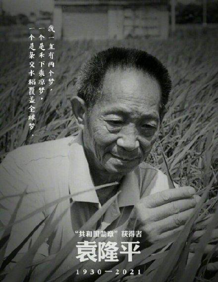 赵丽颖|袁隆平逝世众星缅怀！曾公开年收入30多万，却慷慨捐出奖金500万