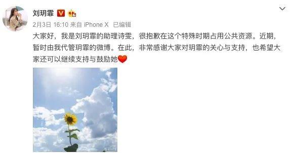 梅利爱说事 因《步步惊心》走红，因《枕上书》被骂，33岁刘雨欣成电影节评委