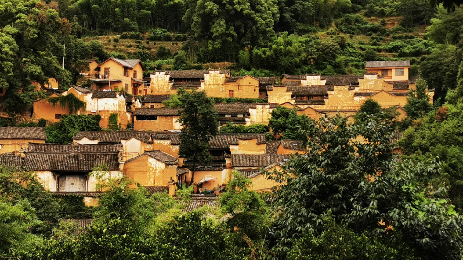 五台山 浙江一座350年得到古村，享有“金色布达拉宫”之称，人少景美！