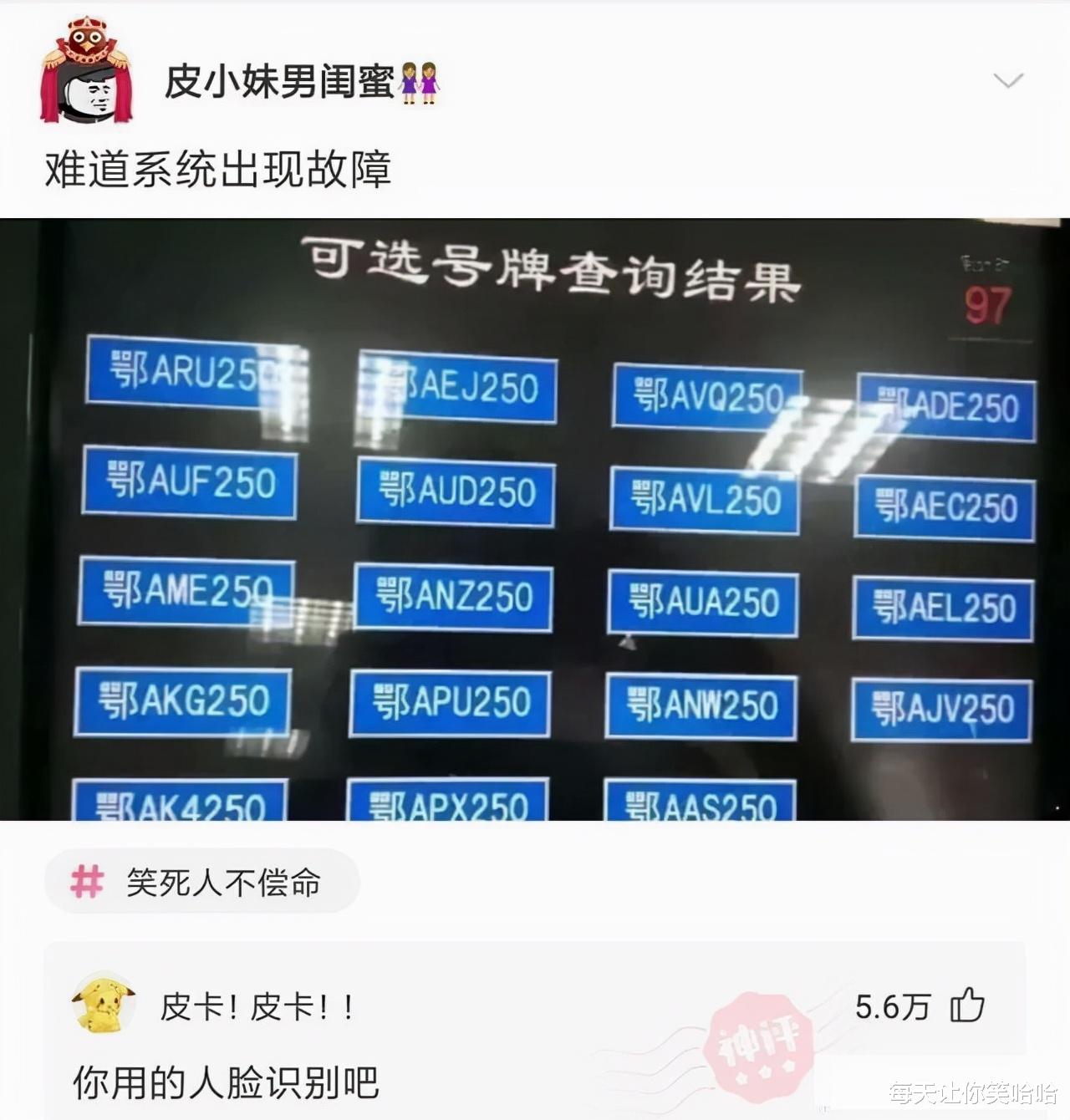 神回复|神回复：发现一个规律，娱乐圈名字带波的人，好像都不走运呢？